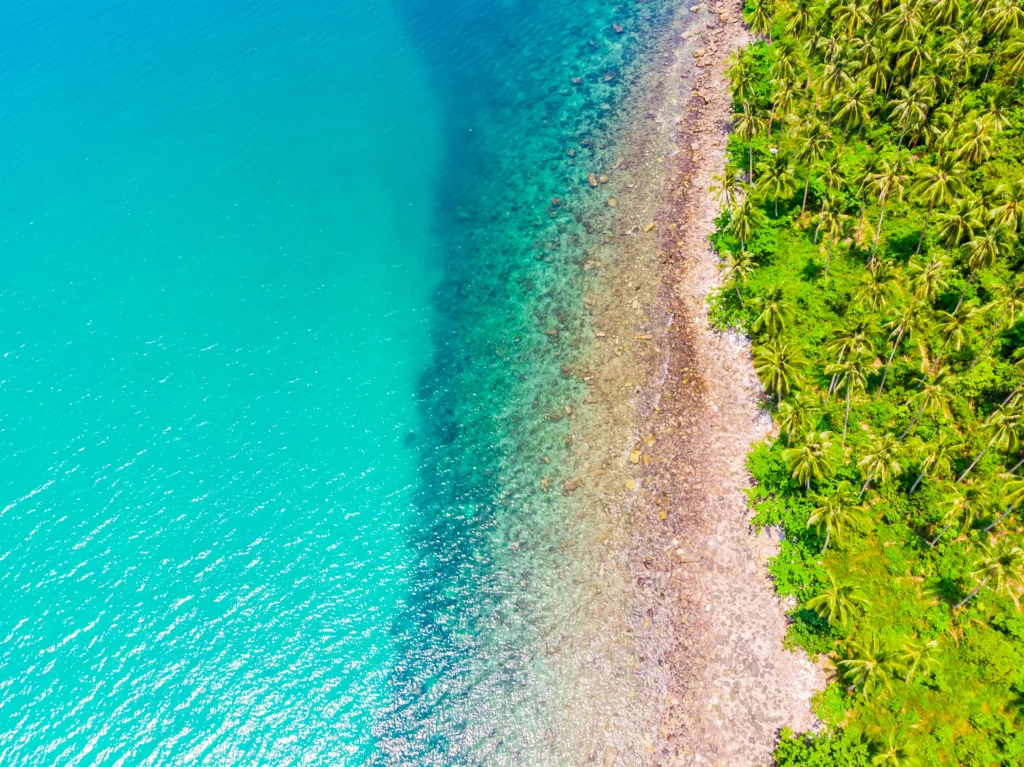 Flights to Zanzibar from Uganda: Your Ultimate Travel Guide