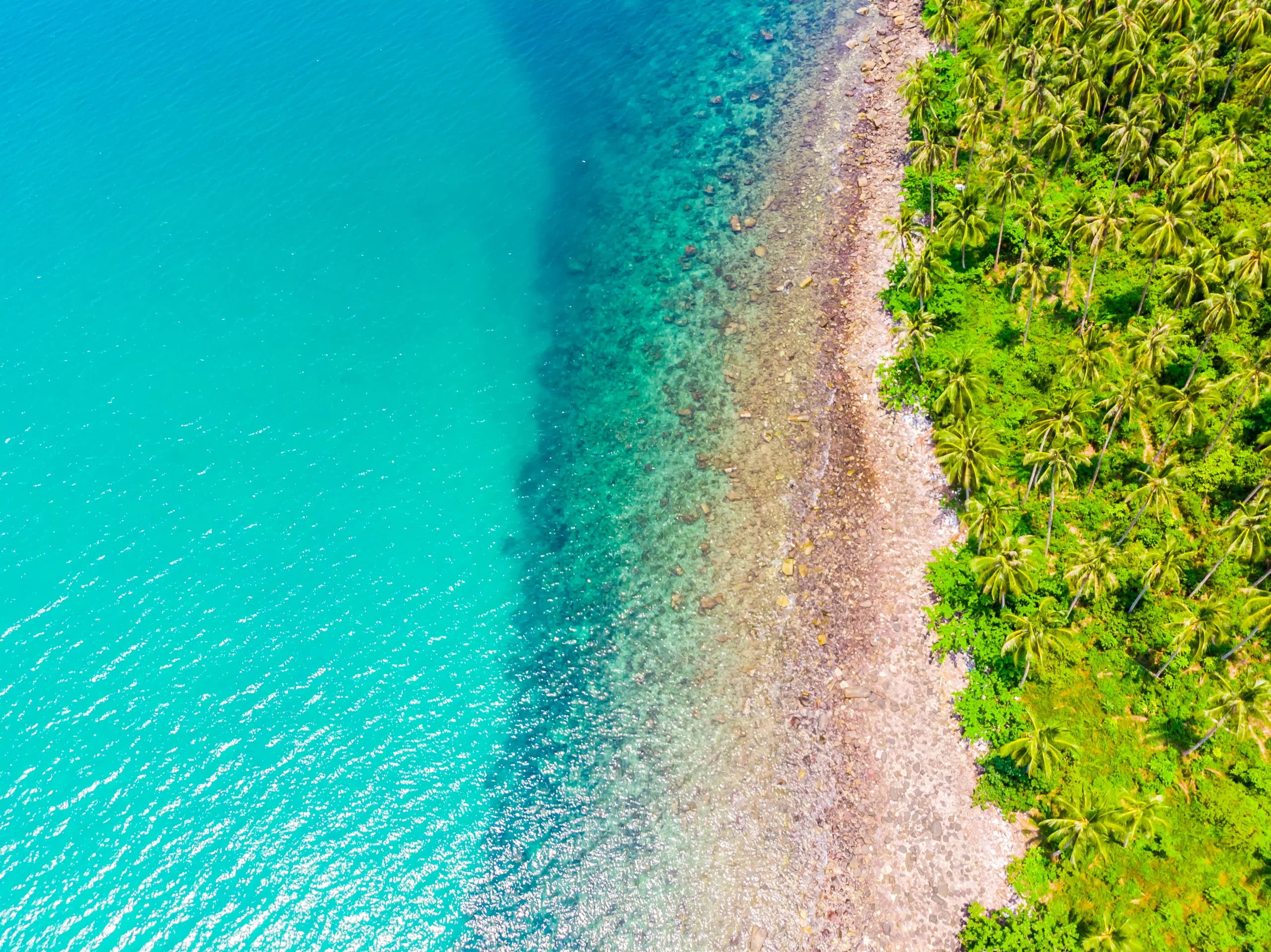Flights to Zanzibar from Uganda: Your Ultimate Travel Guide