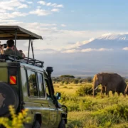 AI Tour Planner in Uganda: Plan Your Safari or Holiday With Zavi